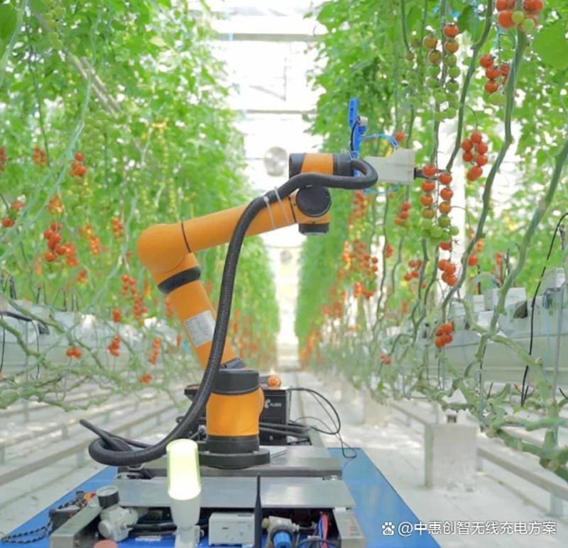 检验检疫技术中心:解读未来发展方向
