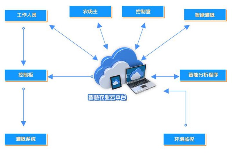 未来五年,厦门检验检疫技术中心如何引领行业发展?
